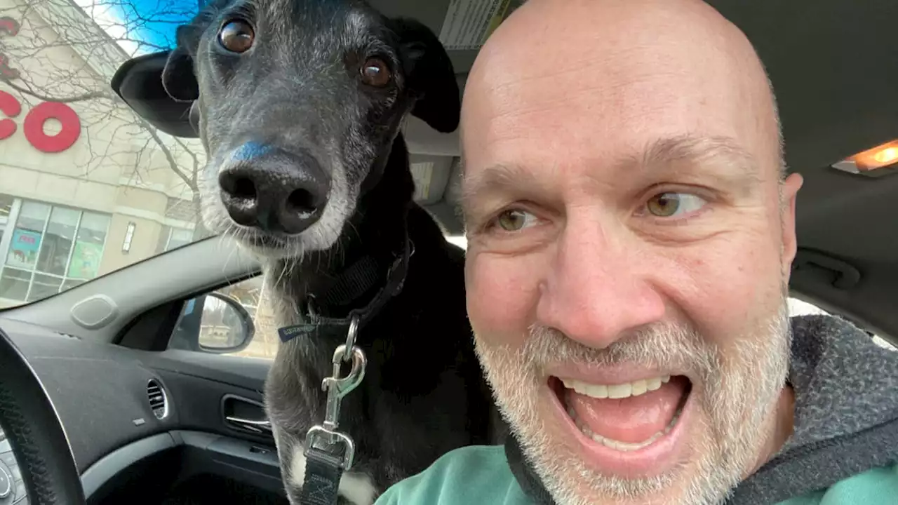 Doyel: My greyhound Cap is 7 years old, and learning how to be a dog