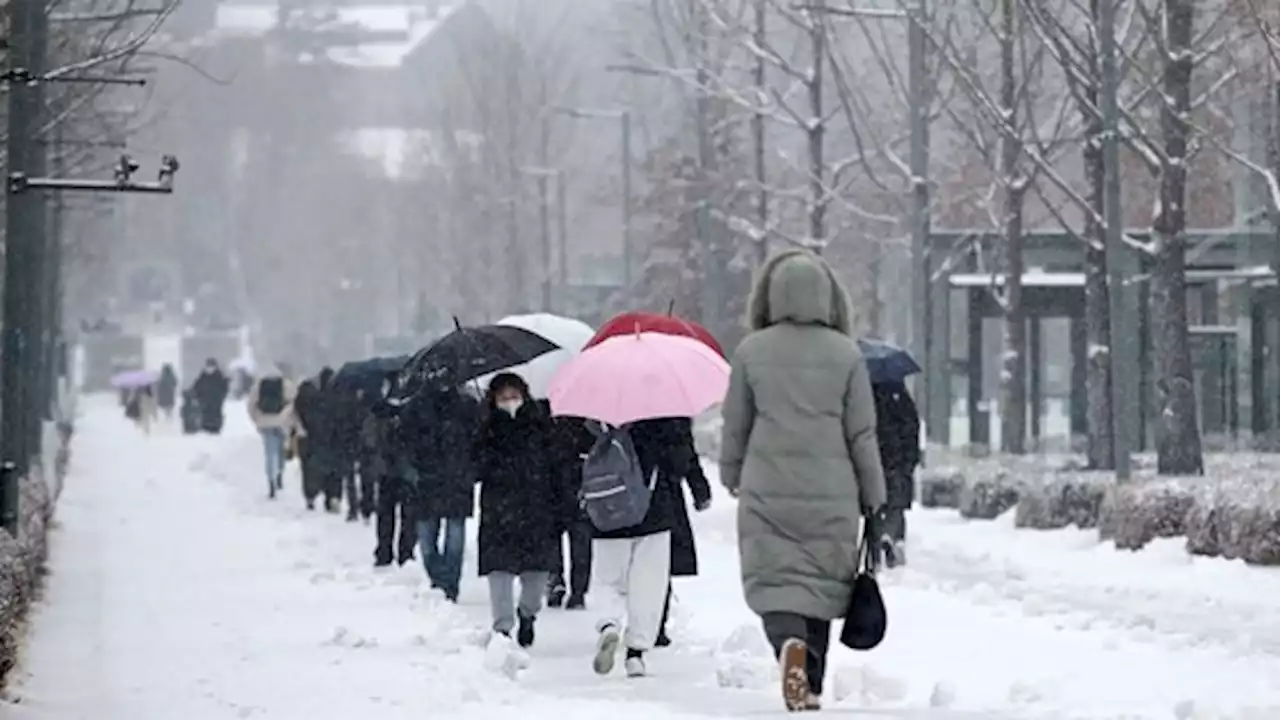 -45도 북극 한파의 습격…50㎝ 눈폭탄과 함께 한반도 덮친다 | 중앙일보