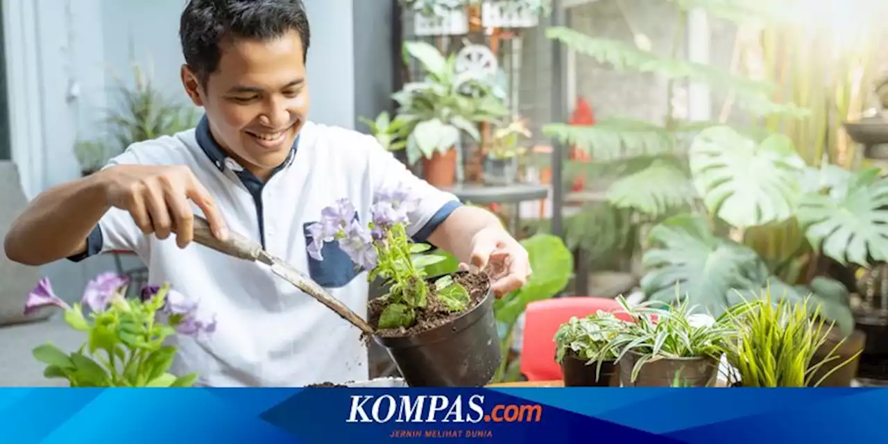 Cara Membuat Media Tanam untuk Tanaman Dalam Pot dan Polybag