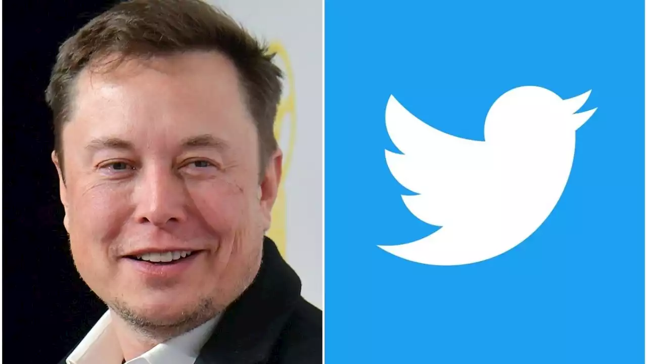 Elon Musk anuncia su retiro como director ejecutivo de Twitter