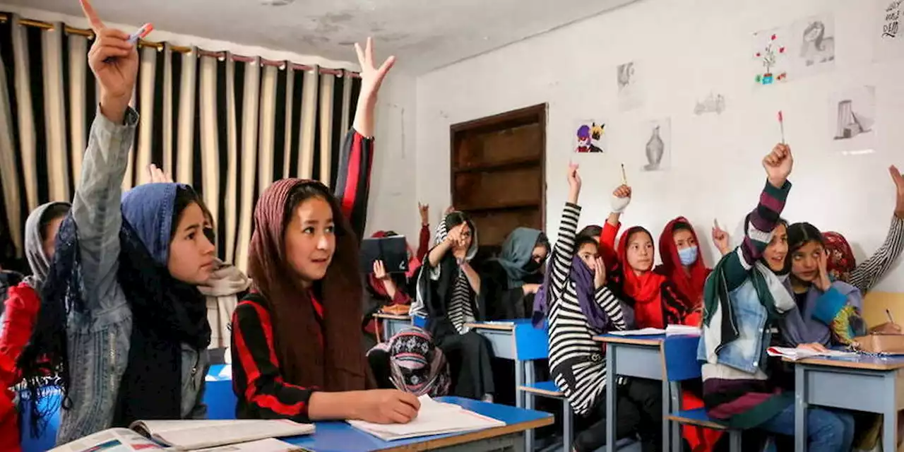 Afghanistan : les filles interdites d'accéder à l'université par les talibans