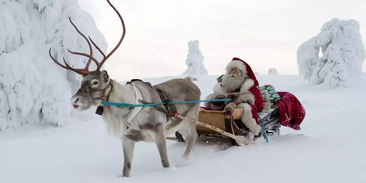 Le Père Noël, adepte du transformisme