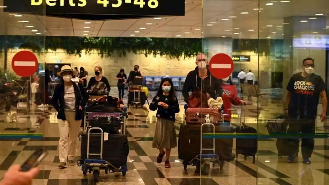 Cegah Kasus Kehilangan, Bandara Changi Uji Coba Aplikasi Pelacak Bagasi