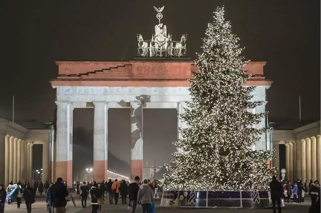 Des militants écolos décapitent le sapin de Noël de Berlin