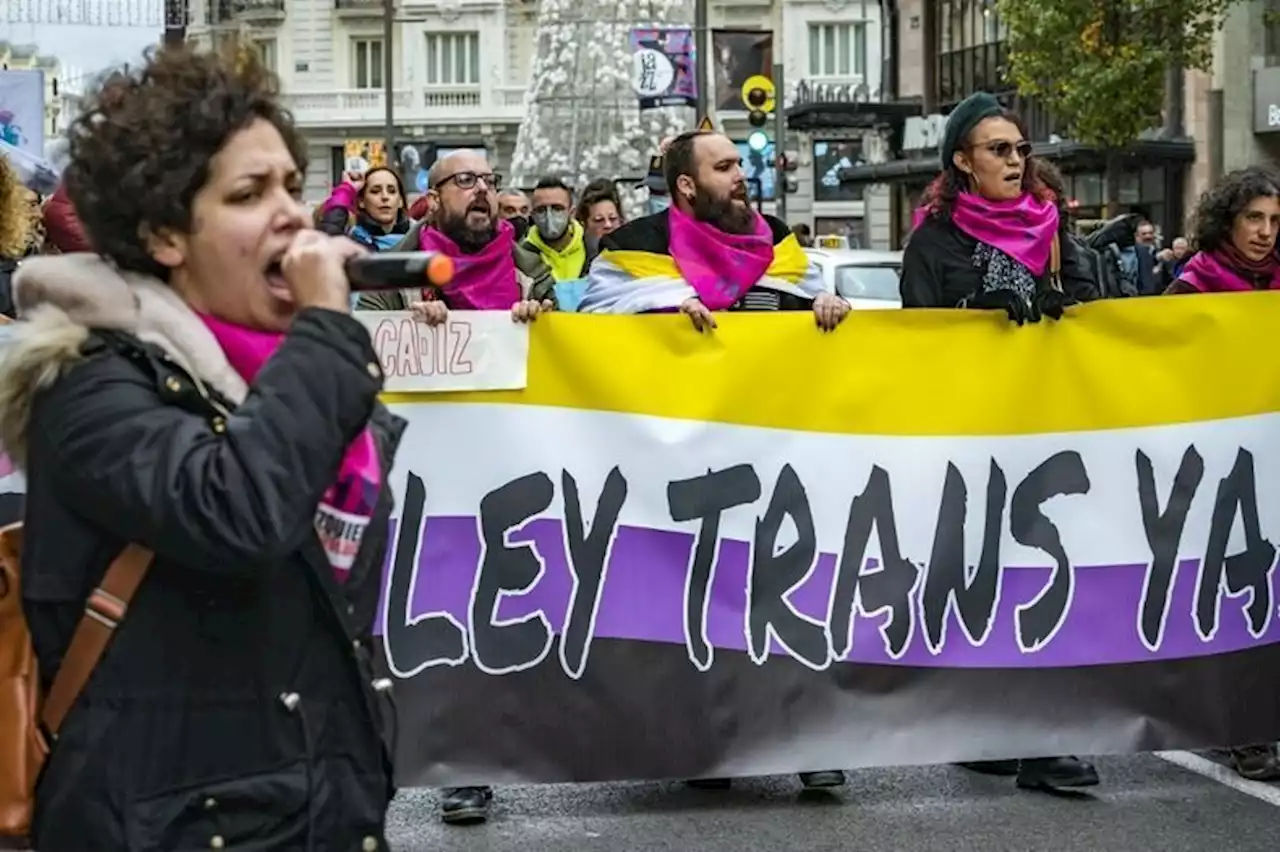 Pourquoi la 'loi transgenre' divise-t-elle la gauche et les féministes en Espagne ?