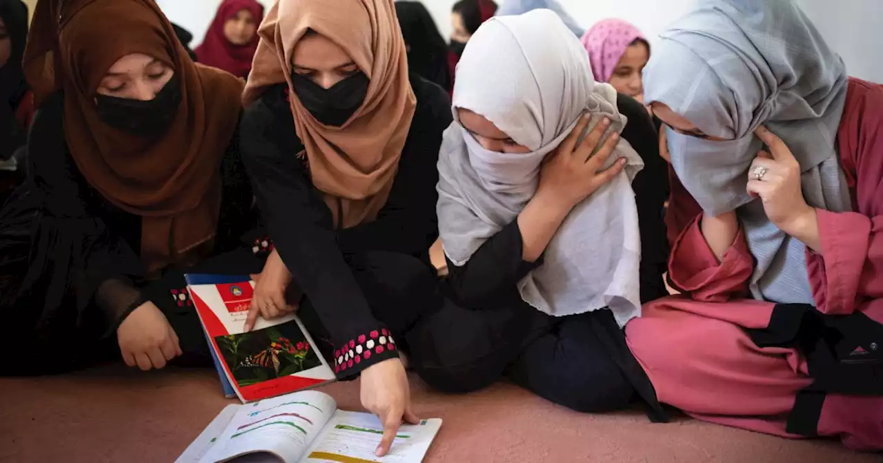 'Ils ont enterré nos rêves' : en Afghanistan, l'accès à l'université est désormais interdit aux jeunes filles