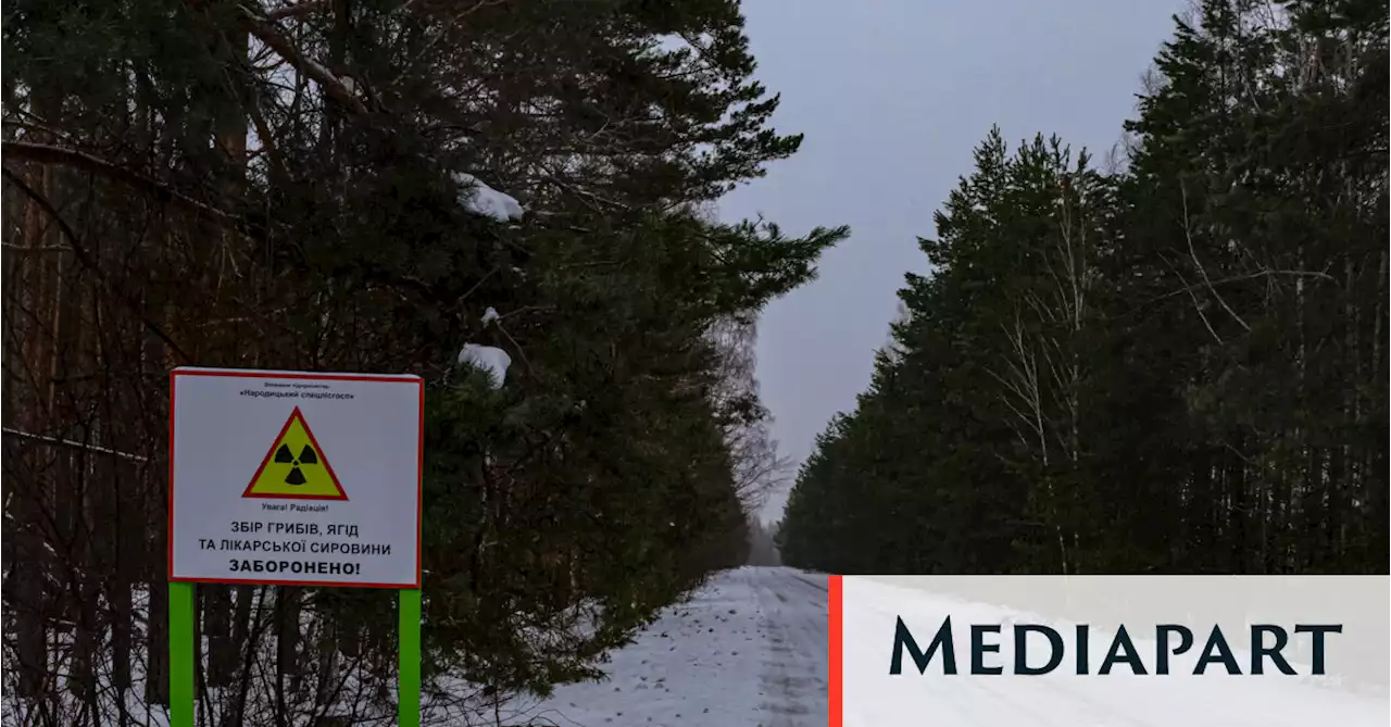 Guerre en Ukraine : les flammes et les mines malmènent les forêts touchées par Tchernobyl