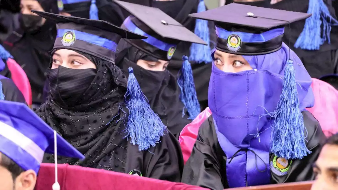 Los talibanes eliminaron el acceso de las mujeres a las universidades