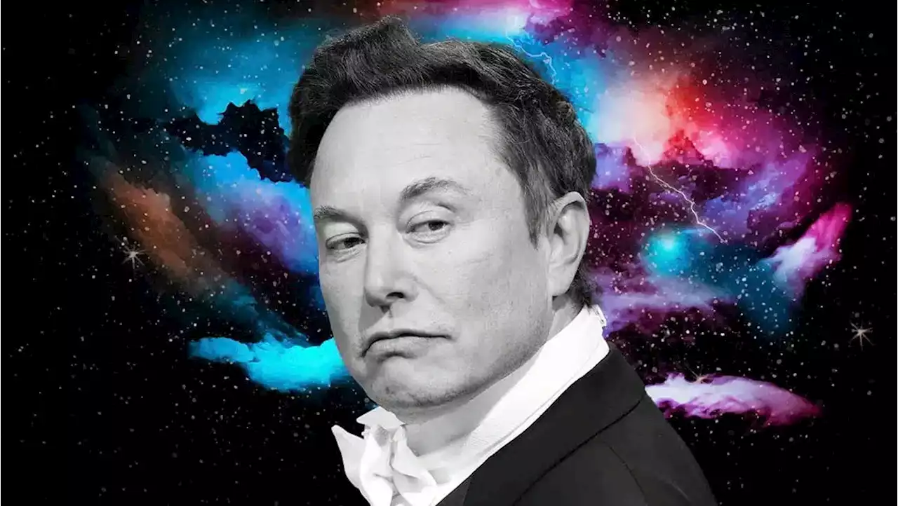 Elon Musk dimitirá cuando encuentre a un tonto para liderar Twitter