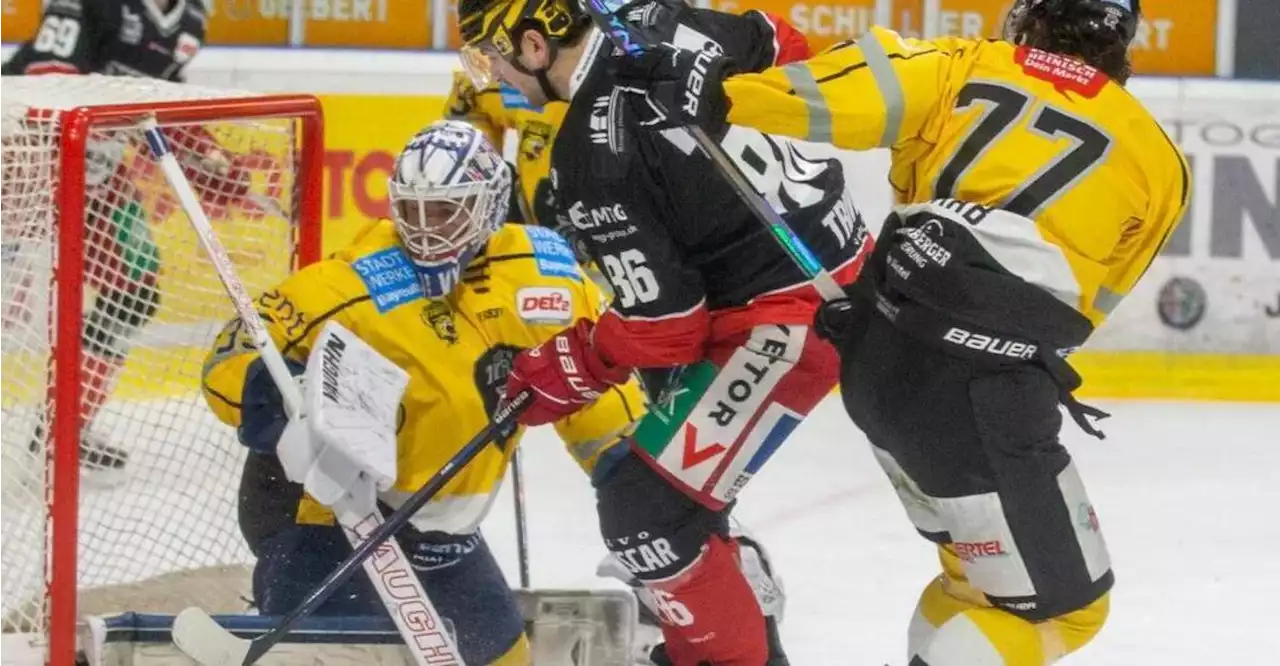 Weihnachtsgeschenk für Regensburgs Fans: Topskorer Corey Trivino verlängert