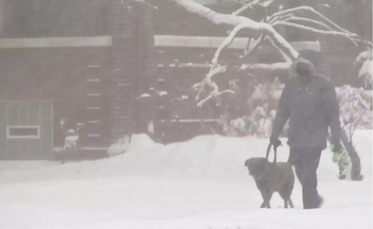 Chicago Area Upgraded to Winter Storm Warning, 1 Indiana County Under a Blizzard Warning