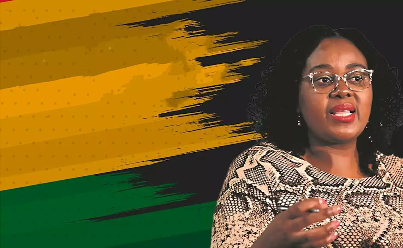 Here's what ANC delegates said about SOEs, energy, and the R350 basic income grant | Business