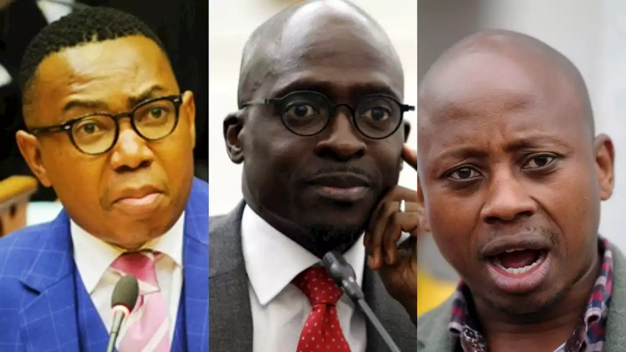 WRAP | Controversial choices: Manana, Gigaba and Lungisa elected to ANC NEC | News24