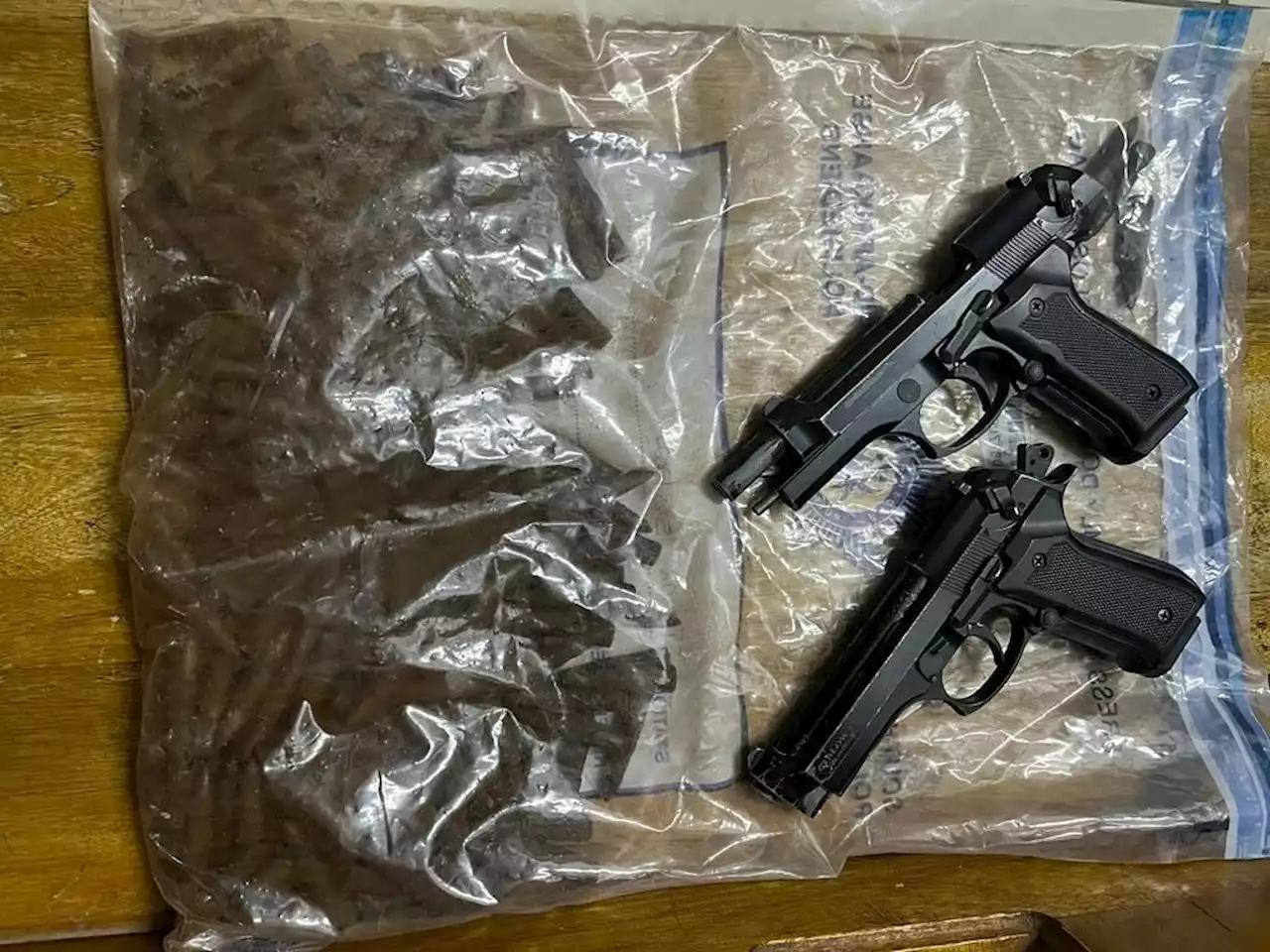 Police seize two toy guns from gang accused of kidnapping and theft | News24