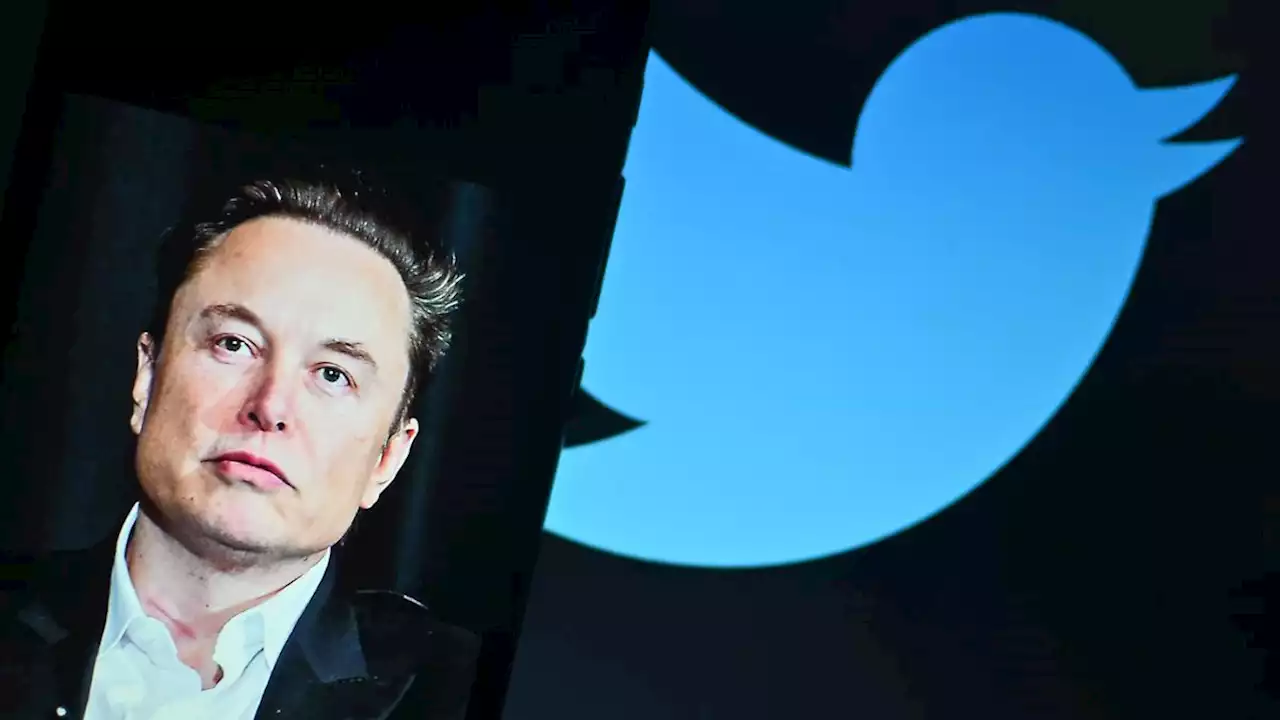 Musk will Twitter-Führung abgeben