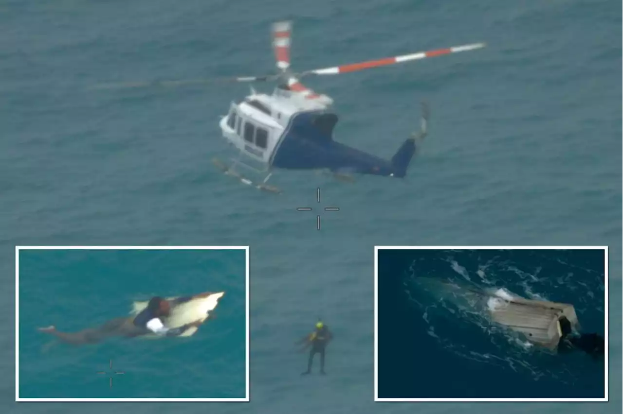 Australian saved after almost 24 hours floating in shark-infested waters