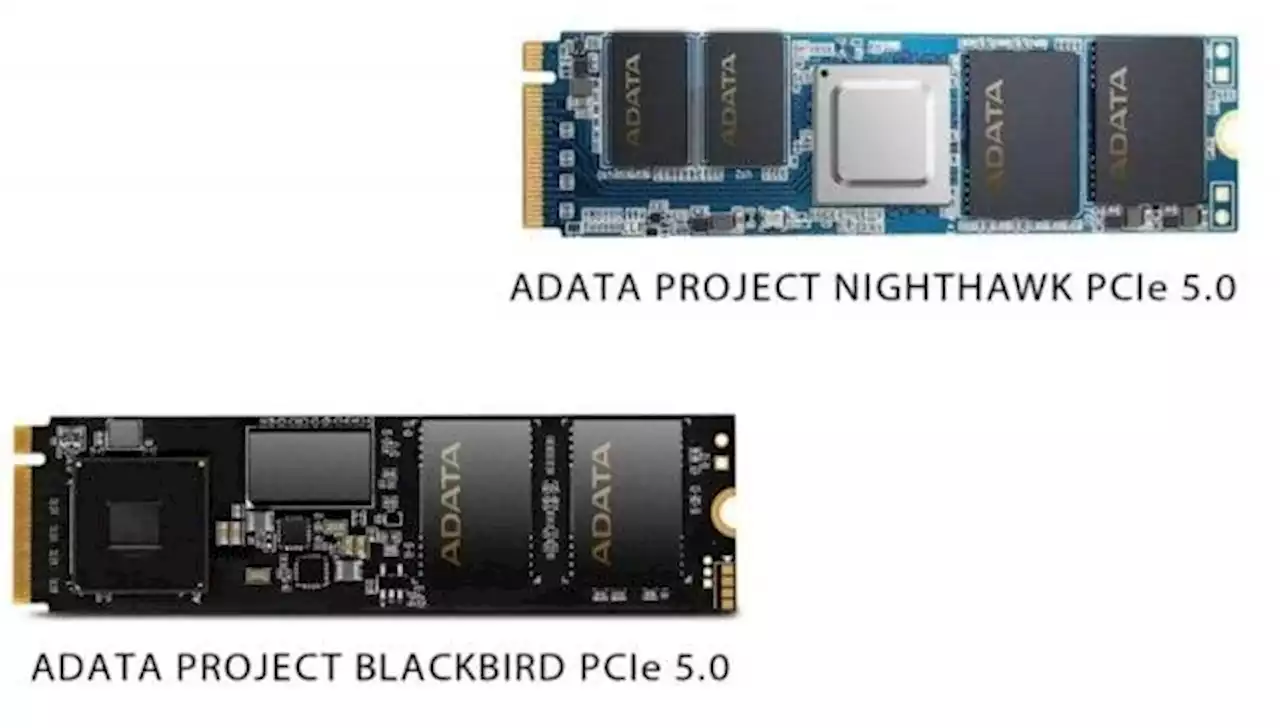 Flotter Flash: Adata stellt PCI-E-5.0-SSD mit 14 GB/s und DDR5-8000-RAM vor