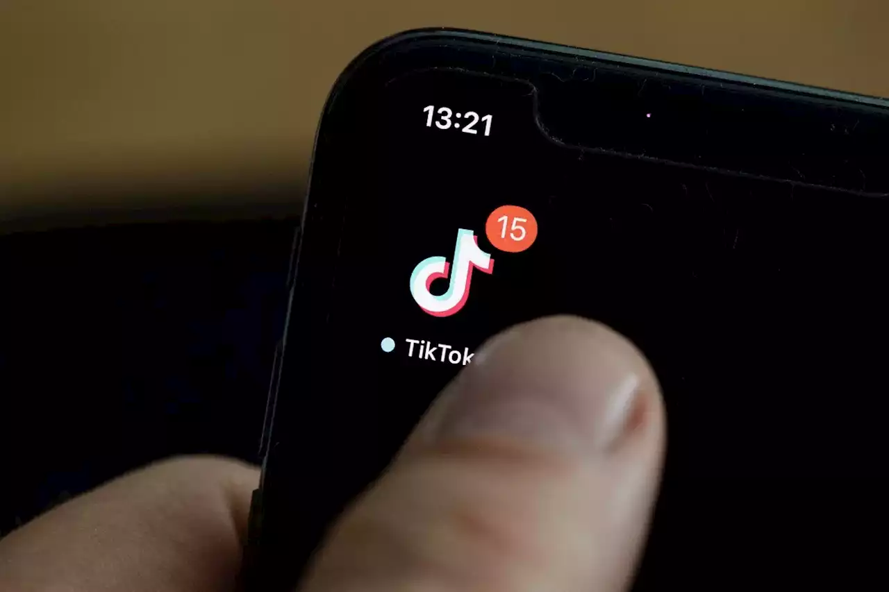 Congreso de EE.UU., a punto de prohibir TikTok en dispositivos del gobierno, por seguridad - Pulzo