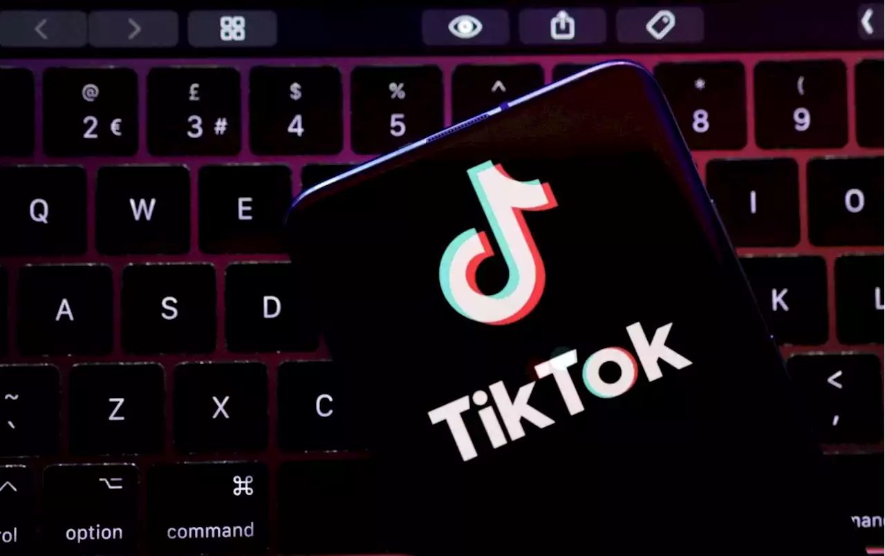 TikTok ban for US gov't phones advances, threatens its ad revenue – experts