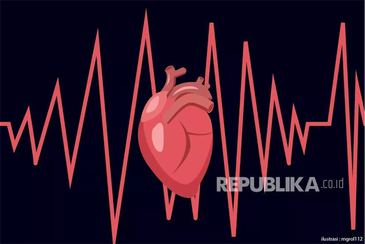 Sejumlah Makanan Ini Bisa Sebabkan Penyumbatan Arteri Jantung |Republika Online