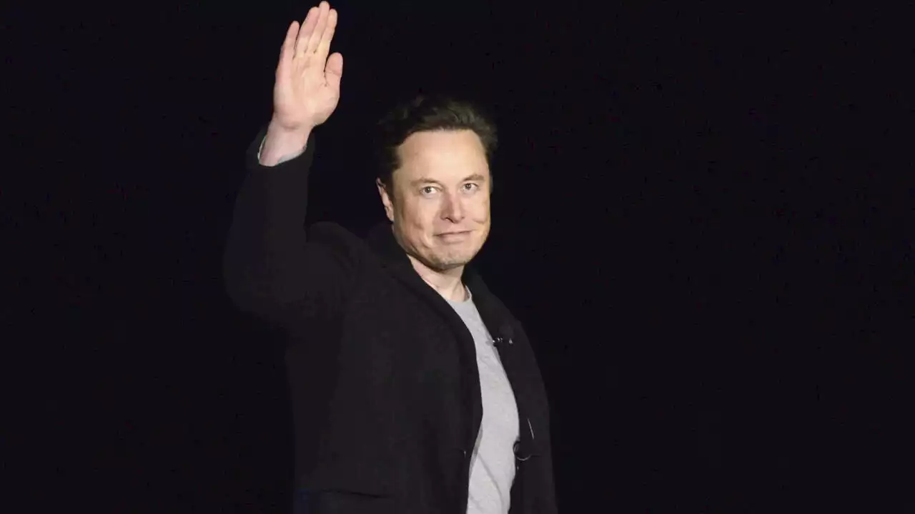 Elon Musk annonce lâcher les rênes de Twitter dès qu’un successeur sera trouvé