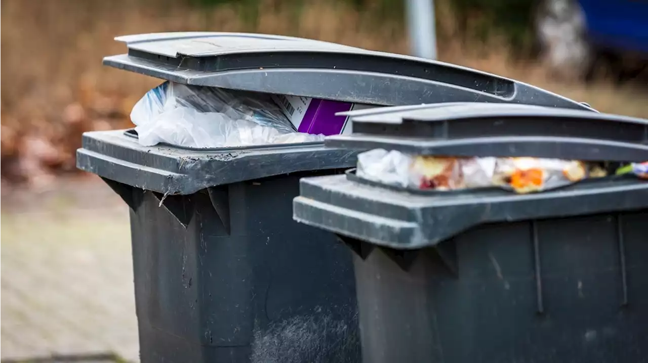 Westervelders gaan betalen per keer dat grijze container wordt geleegd