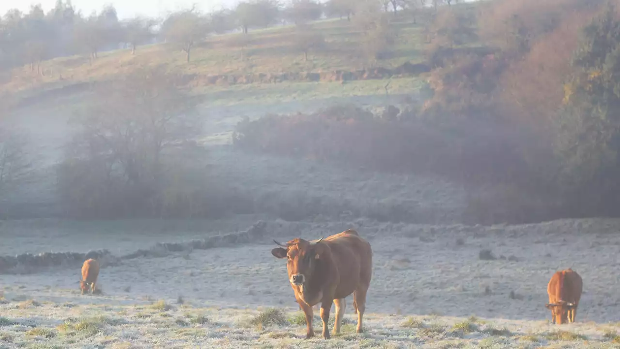 Un otoño muy cálido dará paso al que 'probablemente será el invierno más caluroso' hasta ahora