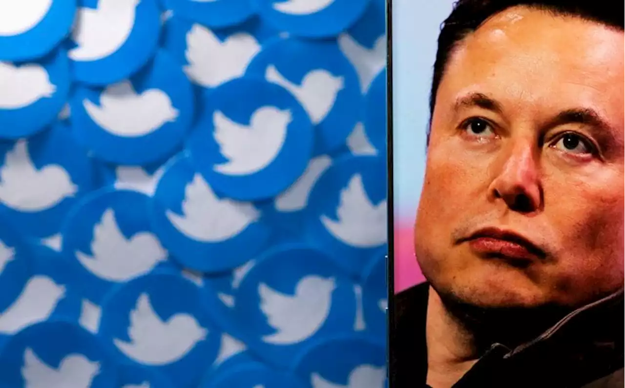 Musk annuncia che si dimetterà da Ceo di Twitter dopo la sconfitta nel sondaggio