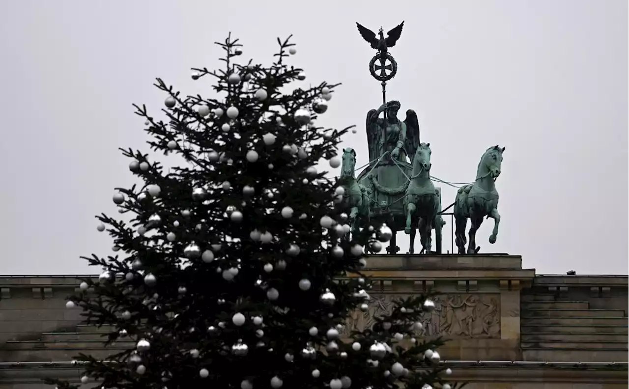 Climat : des militants décapitent le sapin de Noël de Berlin