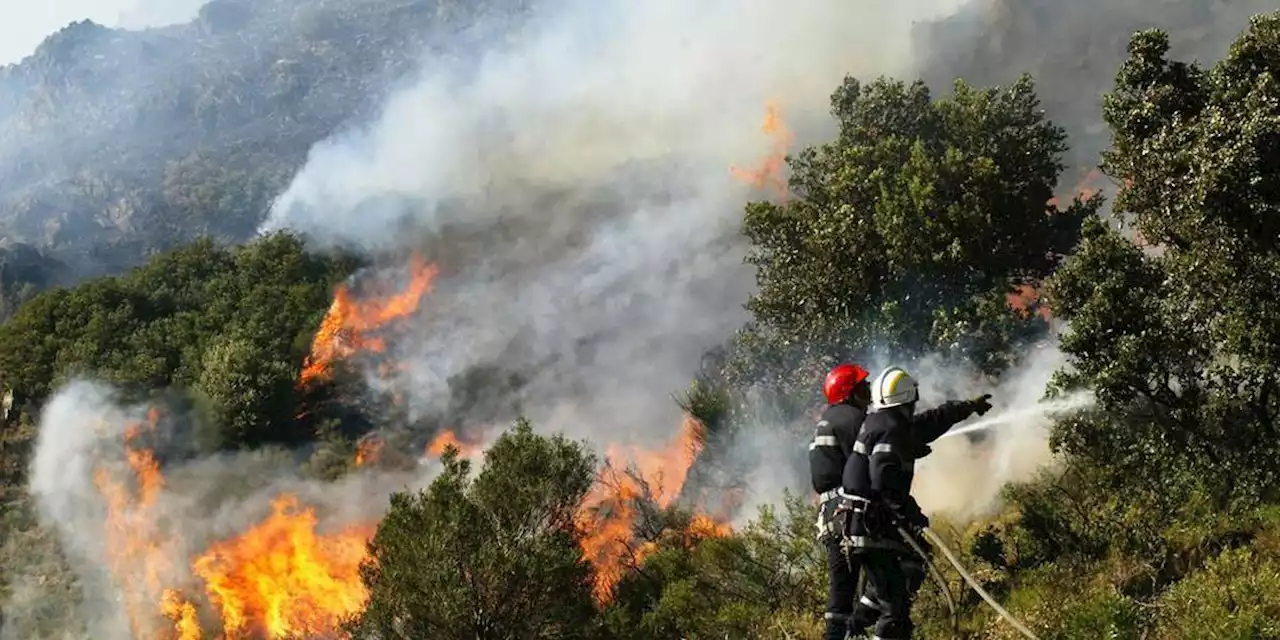 Incendies : prison ferme pour un pompier volontaire, auteur de 43 départs de feu dans l’Hérault