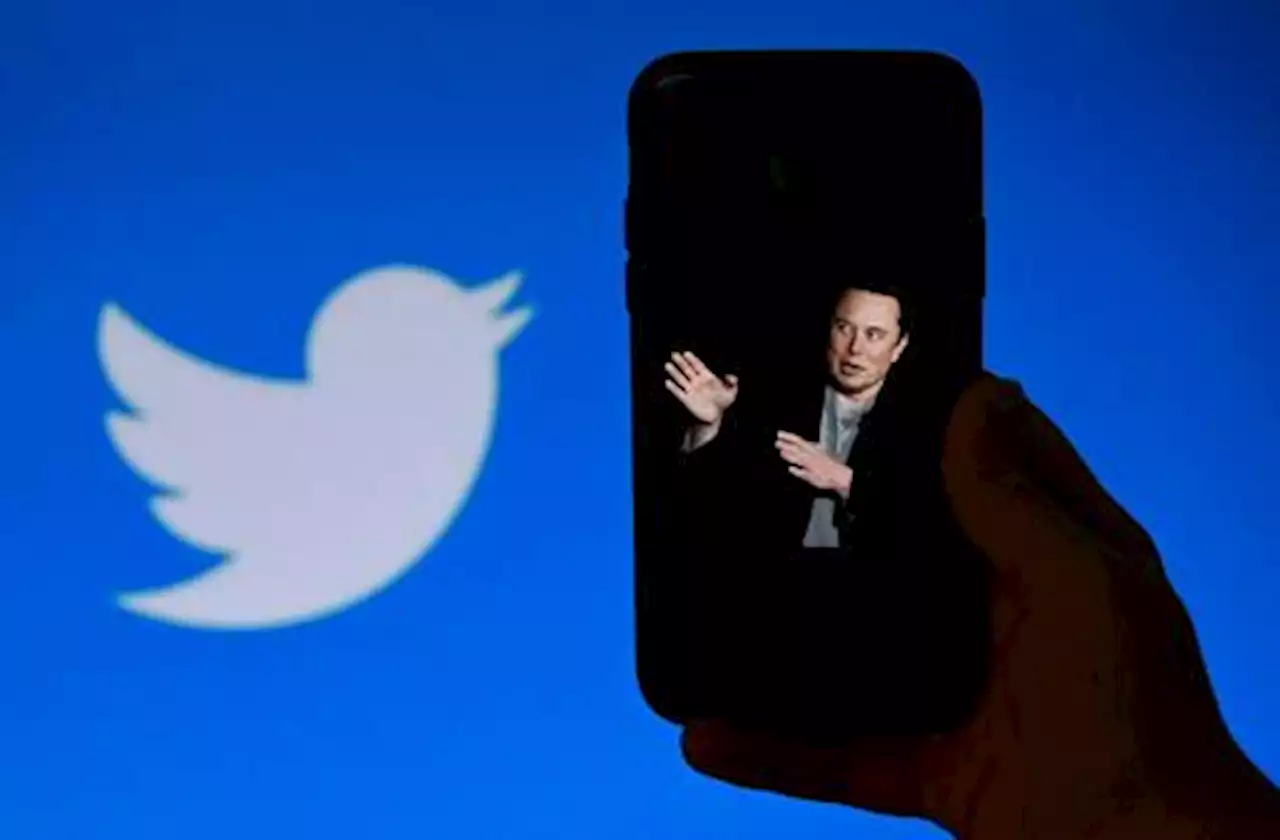 Musk annuncia: 'Mi dimetto da Ceo di Twitter, appena trovo qualcuno che prenda il mio posto'