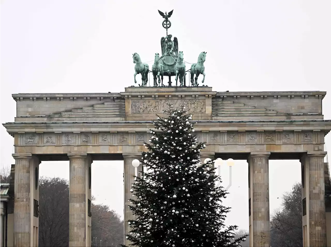 Climate activists decapitate prominent Berlin Christmas tree