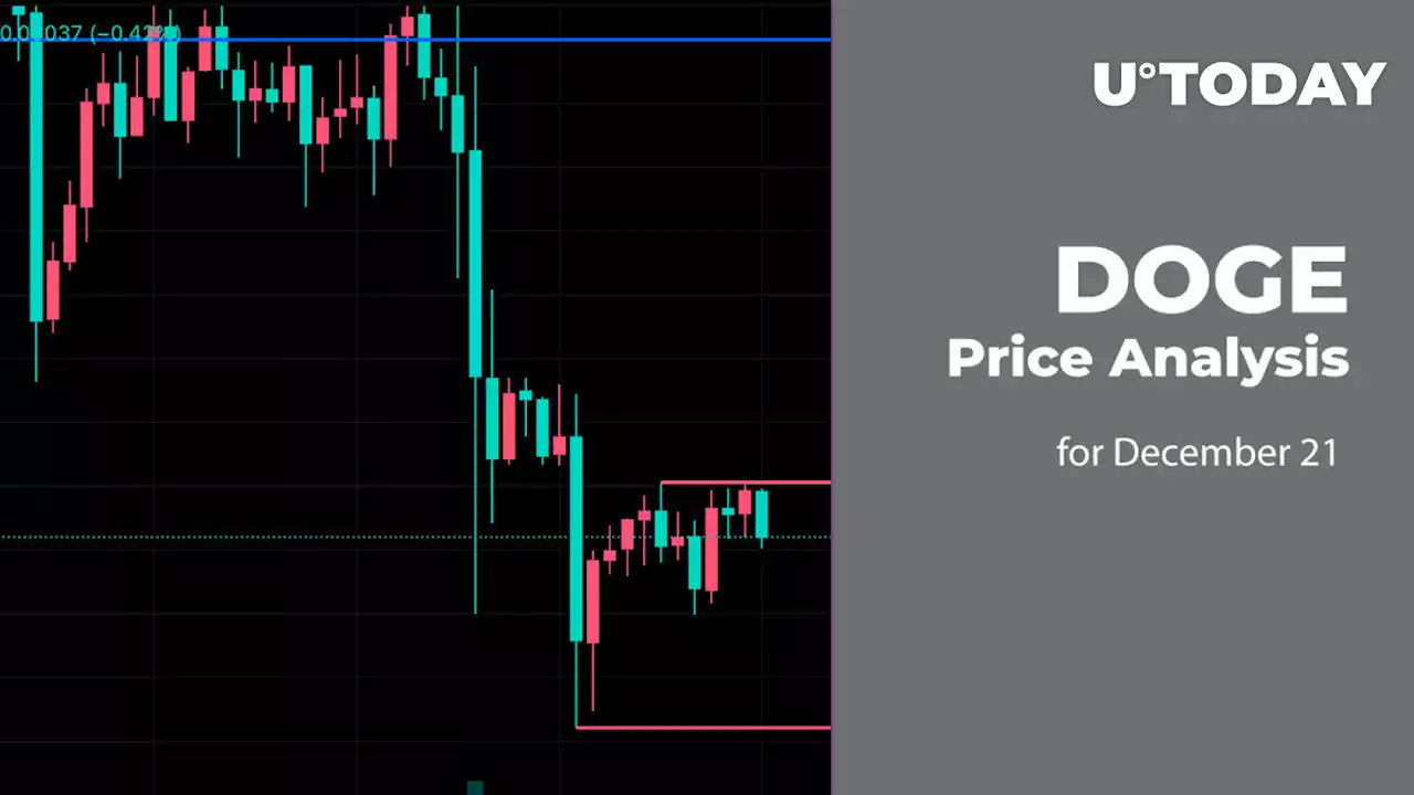 DOGE Price Analysis for December 21