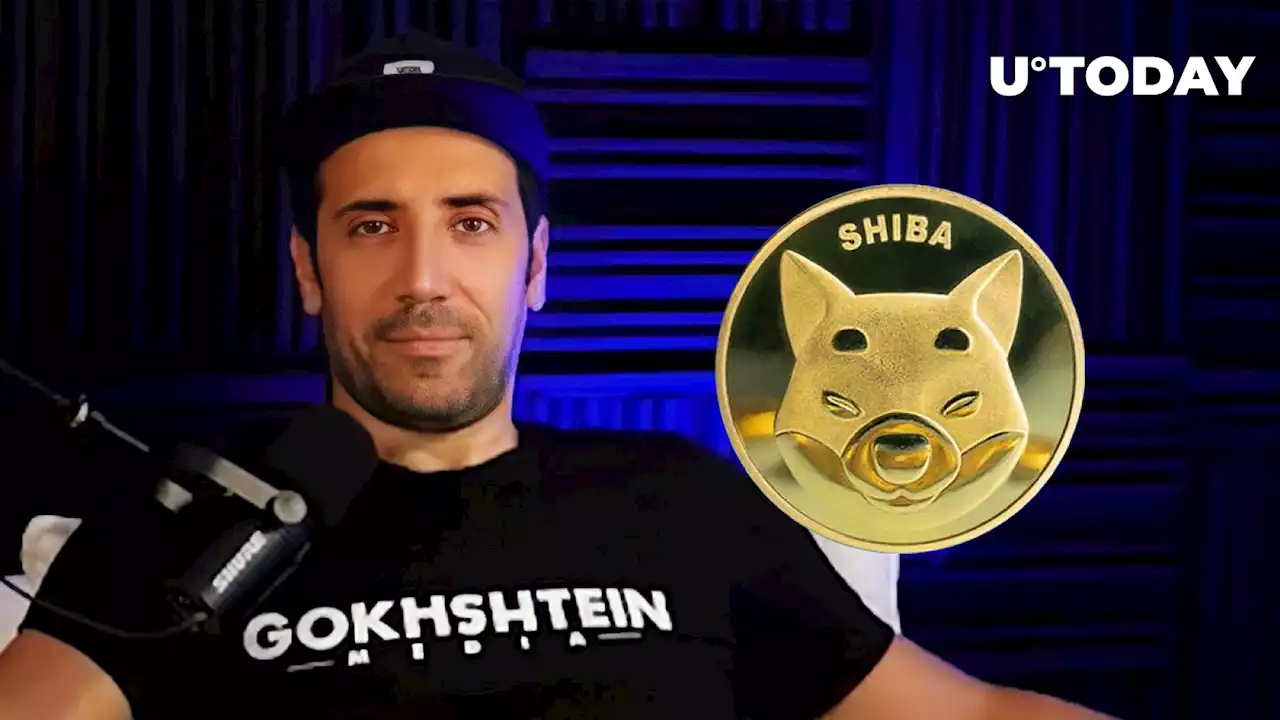 SHIB Better Make Comeback During Next Bull Run: David Gokhshtein