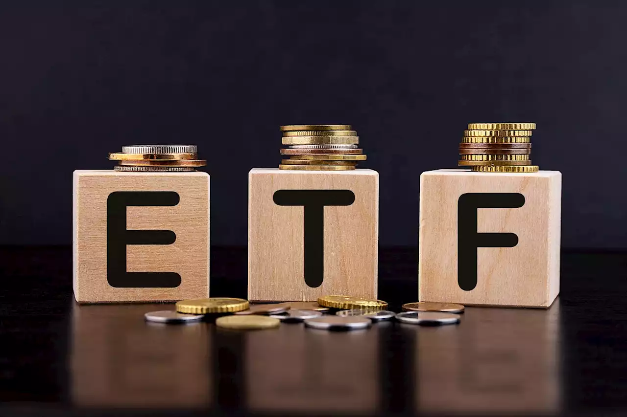 Número de ETFs e cotistas desses fundos cresce em 2022, mas patrimônio líquido cai