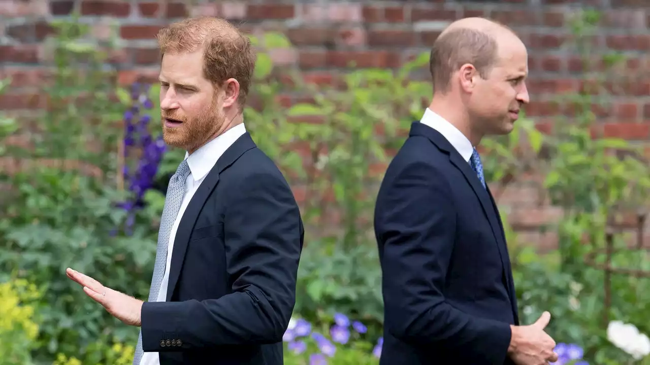 Harry e William «hanno rotto per sempre» (colpa della docuserie)