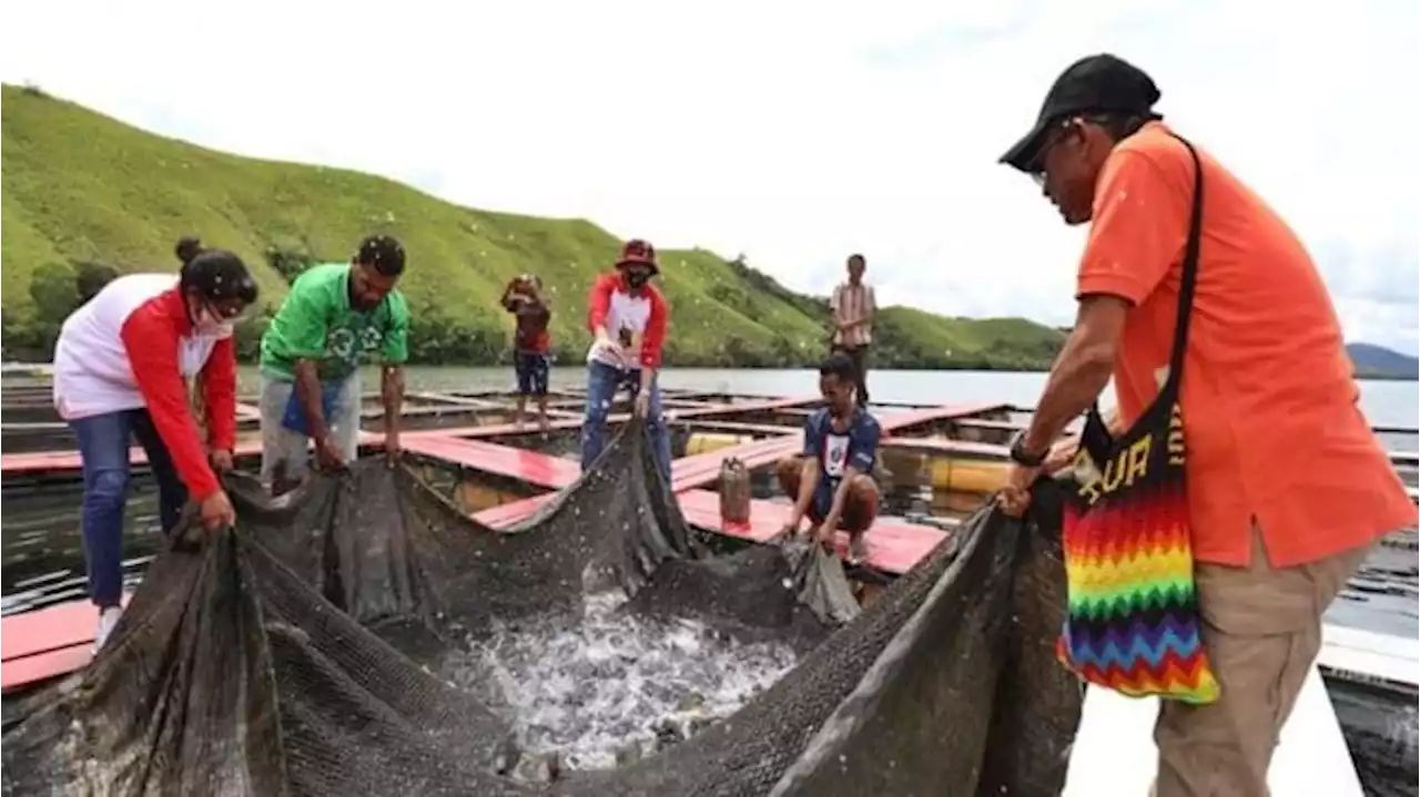 Upaya BIN Perkuat Perekonomian Masyarakat Papua