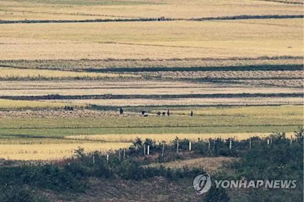 '북한, 지난달 중국산 쌀 3만t 수입…3년 만에 최대' | 연합뉴스