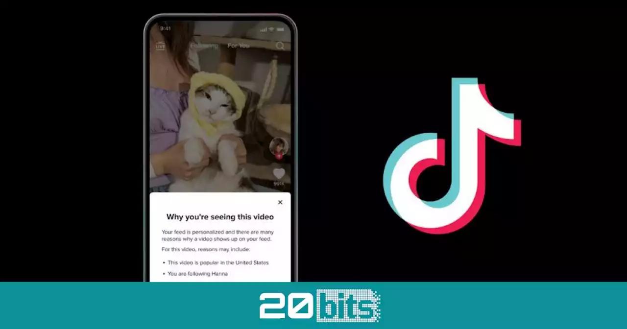 TikTok va a explicar en qué se basa para enseñarte cada vídeo