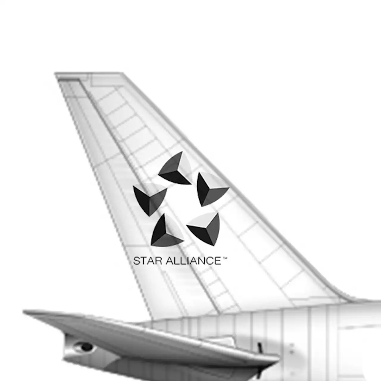 Star Alliance wählt SAS-Managerin als Interimschefin - Suche läuft weiter - aeroTELEGRAPH