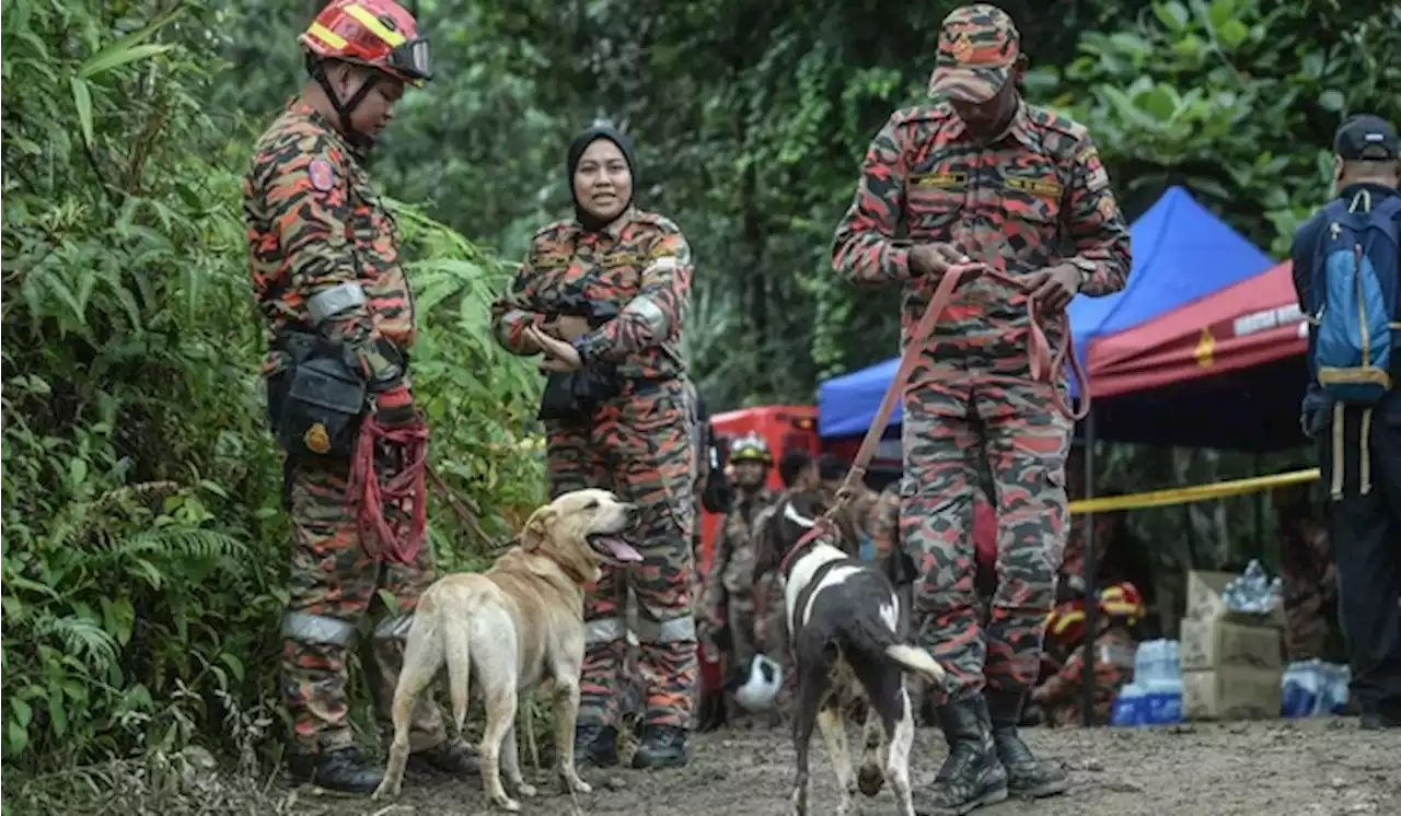 Longsor di Genting Malaysia, Temuan Korban Tewas Jadi 30 Orang