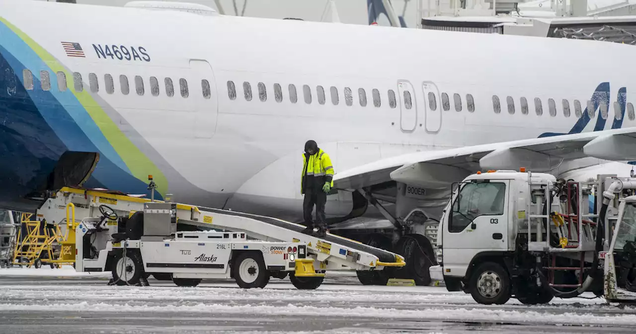 Powerful winter storm expected to bring 'crippling impacts' as hundreds of flights are canceled