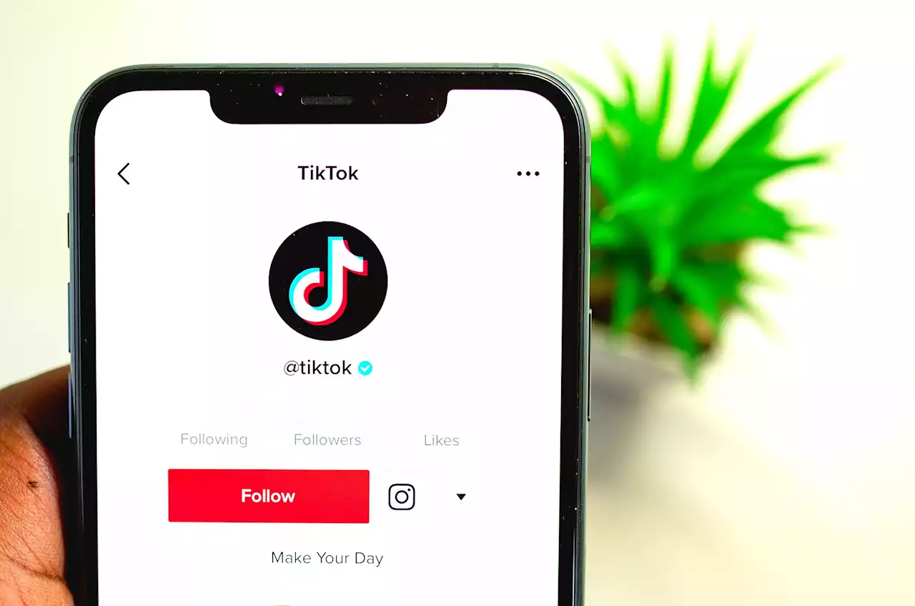 TikTok tente le tout pour le tout pour sauver sa peau aux États-Unis