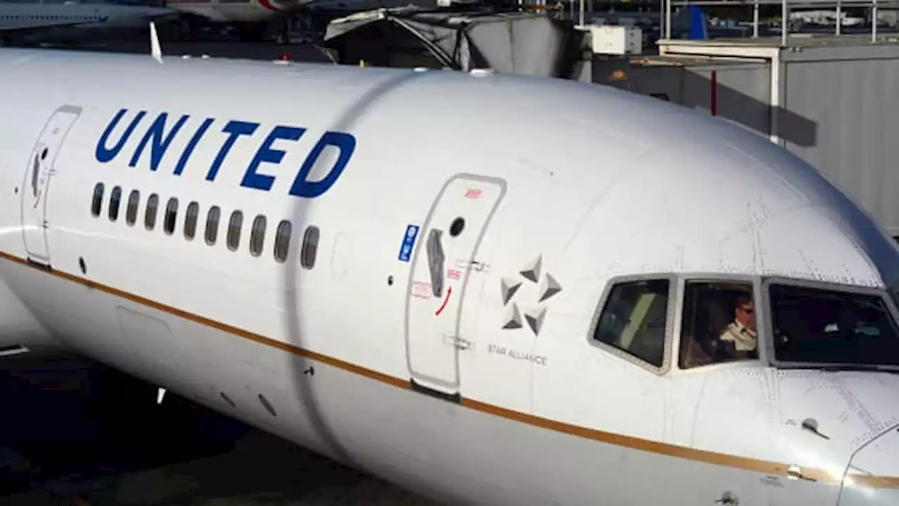 New head of United Airlines pilot union resigns after online comments spark outcry