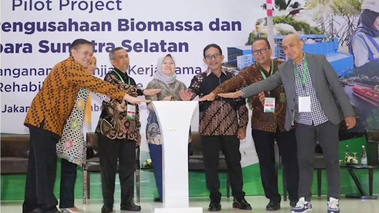 PTBA Ikut Pengembangan Biomassa Co Firing PLTU di Sumsel