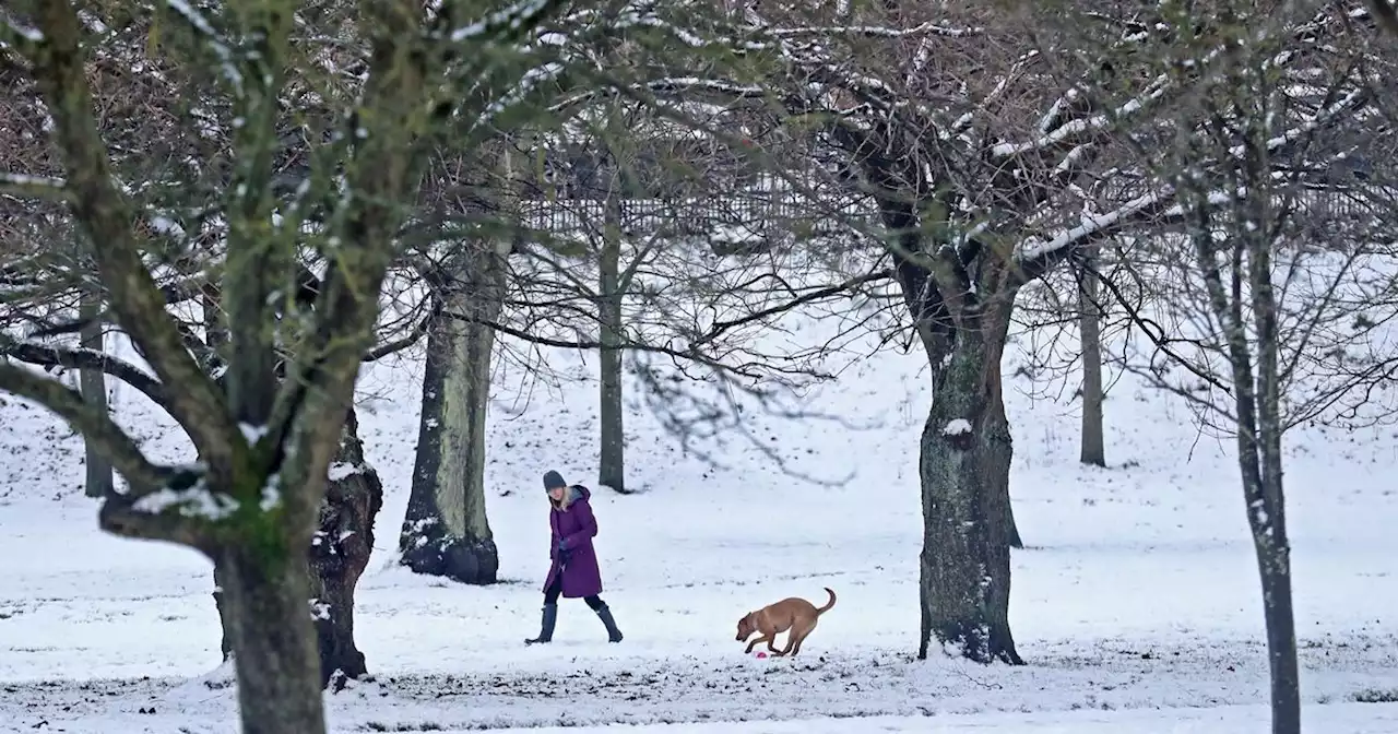 White Christmas ‘most likely’ in Scottish Highlands, says Met Office