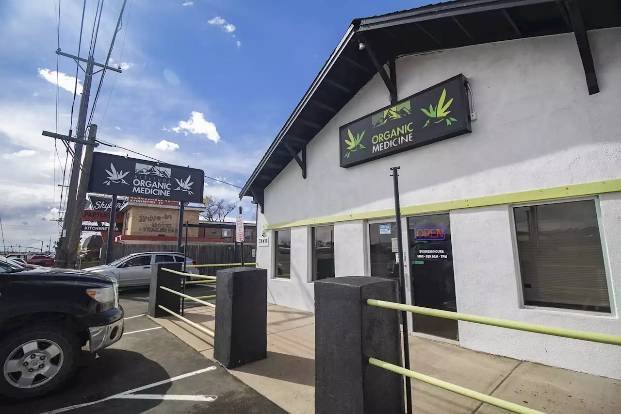 Ask a Stoner: Are Recreational Dispensaries Forever Dead in Colorado Springs?