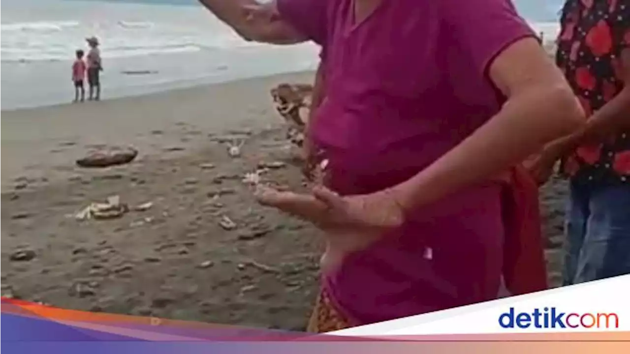 Sebelum Tutup Usia, Sang Maestro Berko Sempat Menari di Pantai