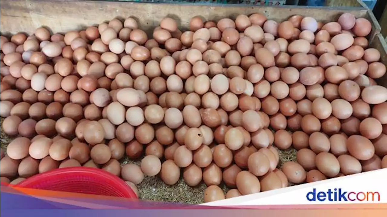 Pemprov DKI Subsidi Telur Jadi Rp 10.000/Kg, Ini Penerimanya