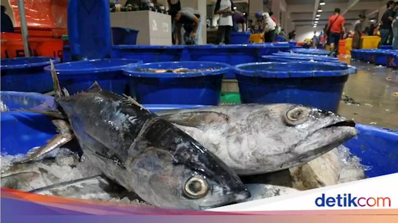 Potret Pasokan Ikan Segar Indonesia Jelang Akhir Tahun